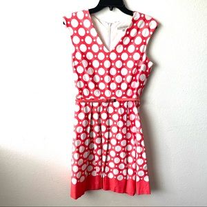 Sandra Darren Polka Dot Dress Belted Waist Size 8